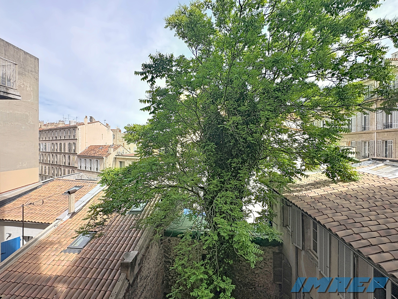 RUE DES VIGNERONS - 8