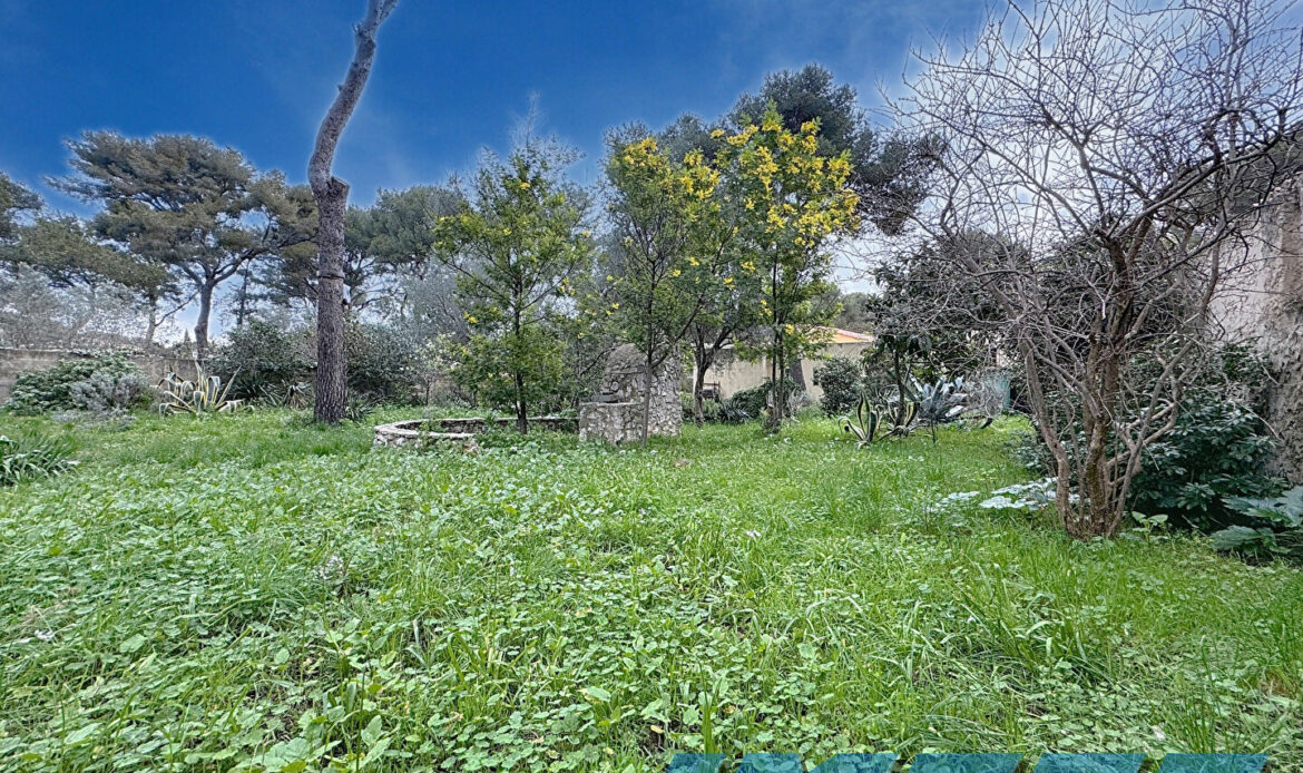6dcec19c
